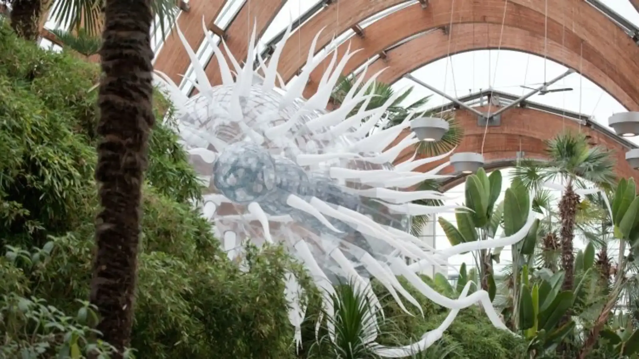 A representation of e-coli in the Sheffield Winter Gardens