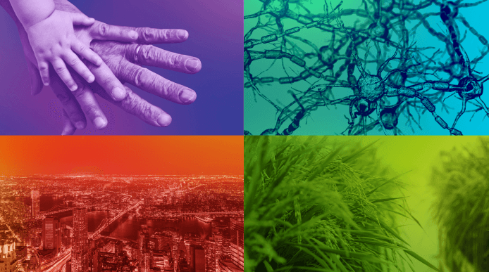 Collage of four images - hands, neurons, a cityscape and plants