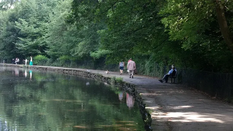 Pond in Endcliffe Park Sheffield