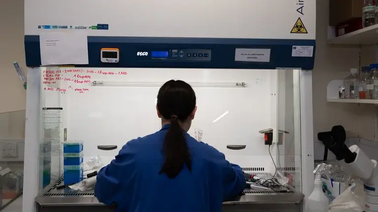 A woman working in the Neuroscience labs at The University of Sheffield