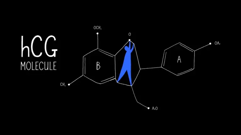 a picture of dna structure