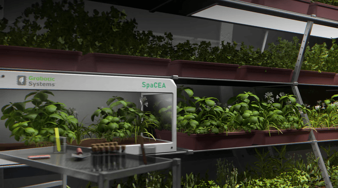 Shelves of plants growing in a space station greenhouse
