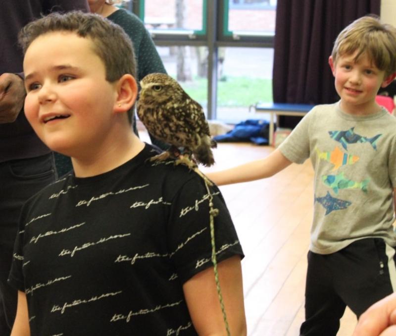 An owl perched on a child's shoulder