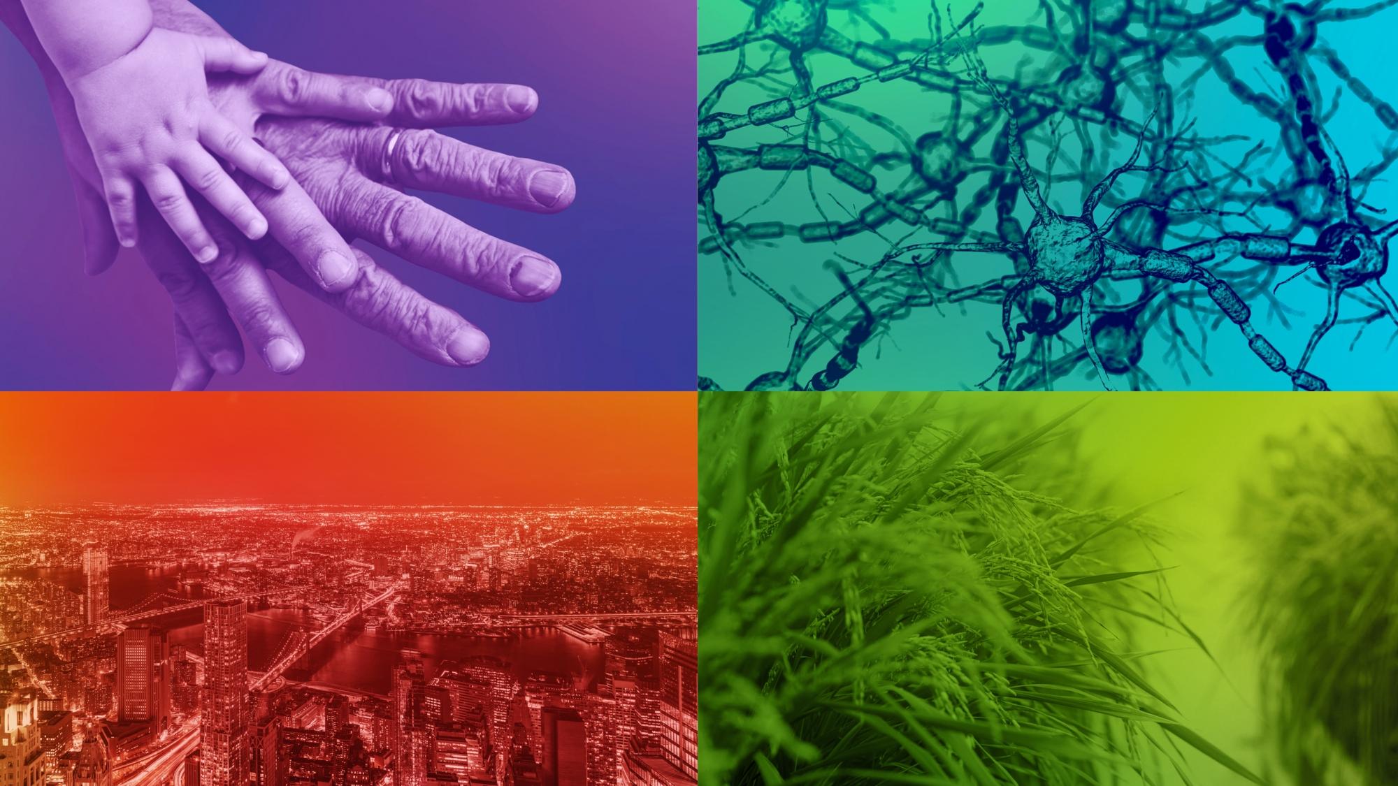 Collage of four images - hands, neurons, a cityscape and plants