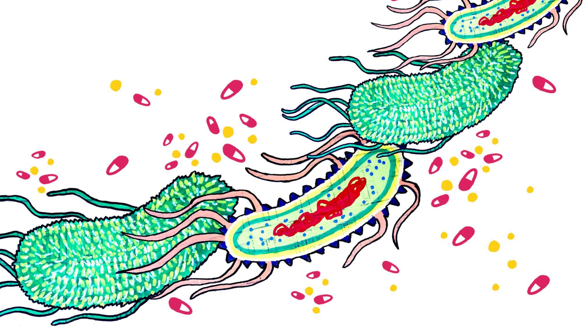 Illustration of microbes