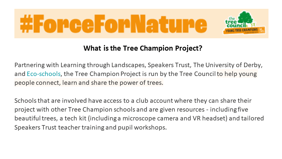 Slide 2 - What is the tree champion project?