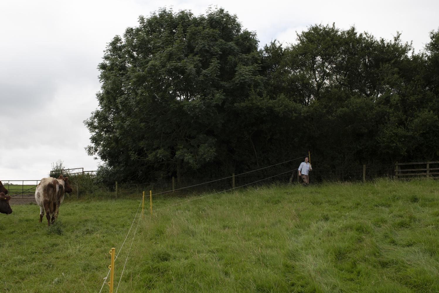 A man setting up an electric fence in a field
