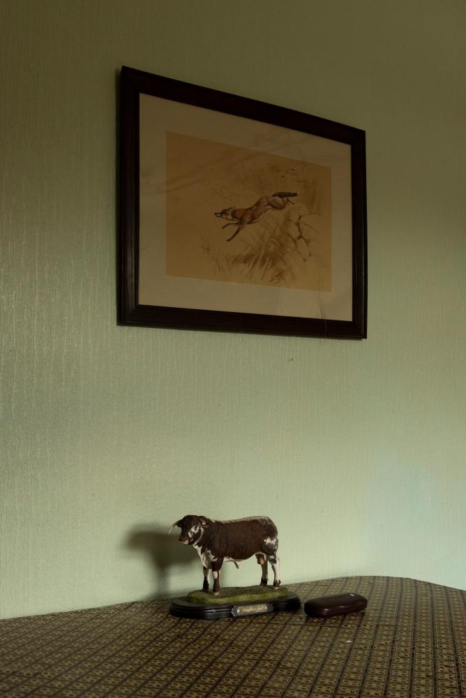 A cow figurine below a painting of a fox