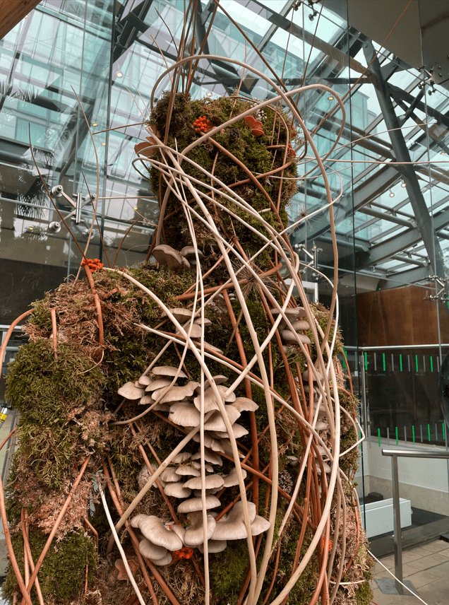 Fungal Figures sculpture in the Sheffield Winter Garden