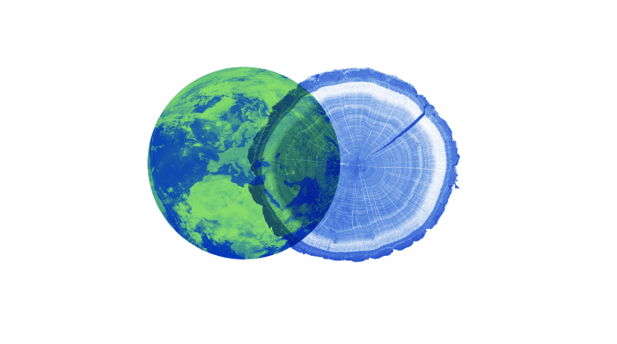 The planet Earth next to an cross-section of tree