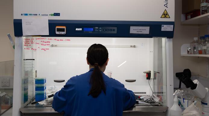 A woman working in the Neuroscience labs at The University of Sheffield