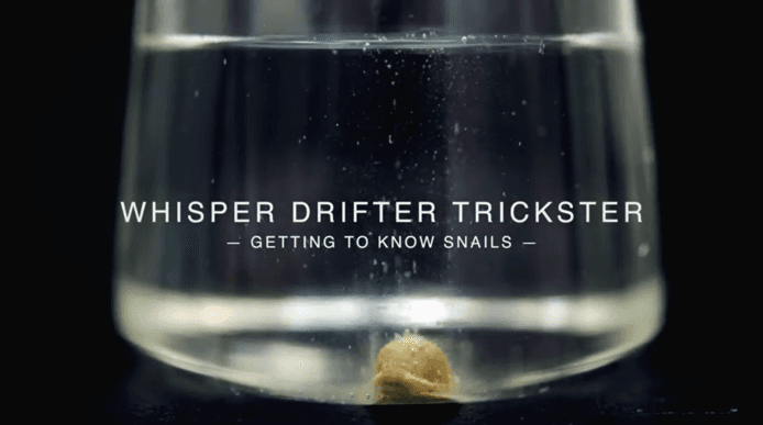 Whisper, Drifter, Trickster (title film still)
