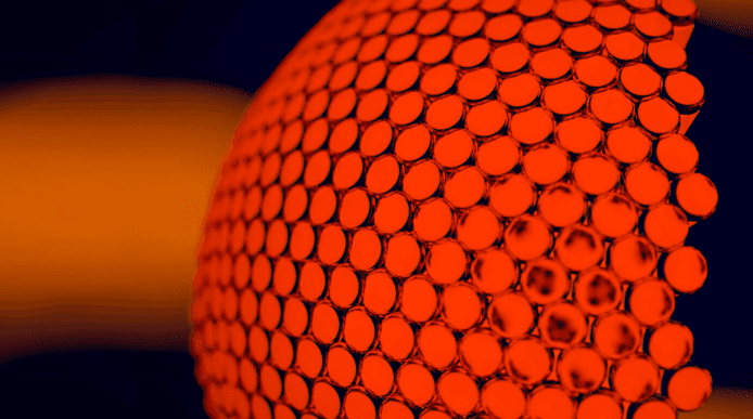 Compound insect eye close up (digital graphic)