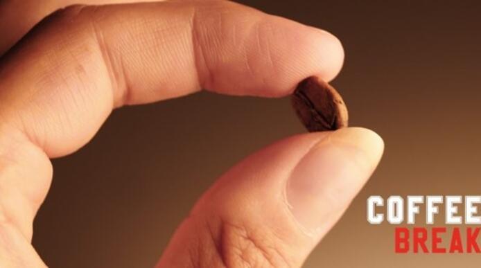 a coffee bean being held between a thumb and finger
