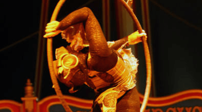 a picture of a circus performer and a hoop
